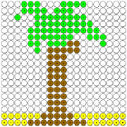 piraat-palmboom.jpg